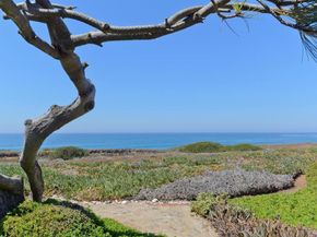 6494 Friendly Place, Carlsbad CA 92011