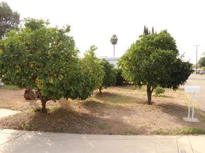 3032 Laurashawn Lane, Escondido CA 92026