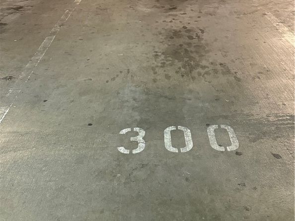 450 E 4th Street 207, Santa Ana CA 92701