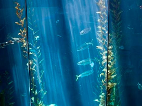 800 E Ocean Boulevard 1010, Long Beach CA 90802