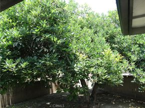 10461 Beach, Bellflower CA 90706