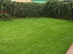 2812 Alsace Avenue, Los Angeles CA 90016