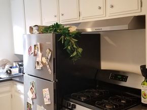 453 S Gramercy Place, Los Angeles CA 90020