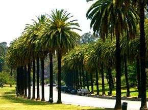 903 New Depot Street 12A, Los Angeles CA 90012