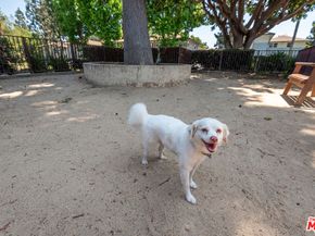 3641 Kalsman Drive 4, Los Angeles CA 90016