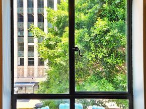 849 S Broadway 203, Los Angeles CA 90014