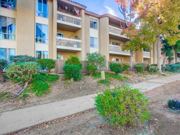 4600 Lamont Street 212, San Diego CA 92109