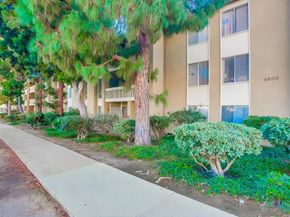 4600 Lamont Street 212, San Diego CA 92109