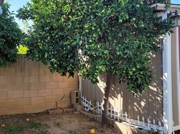 1403 Garin, Whittier CA 90601