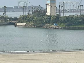 1140 E Ocean Boulevard 320, Long Beach CA 90802