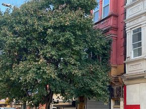 209 S 60TH Street, Philadelphia PA 19139