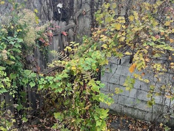 2017 E Pacific Street, Philadelphia PA 19134