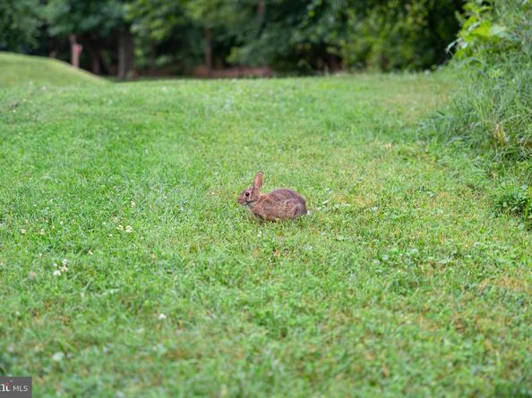 5300 Columbia Pike 315, Arlington VA 22204