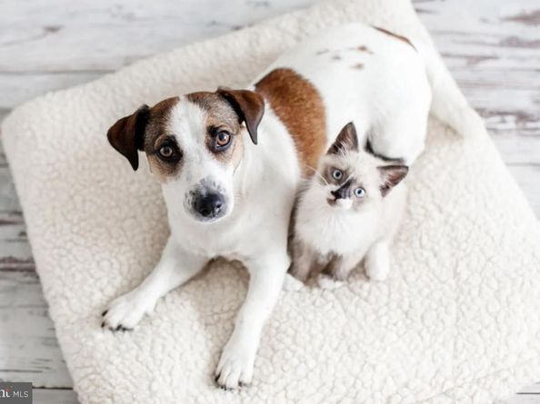 3334 10TH Place SE, Washington DC 20032