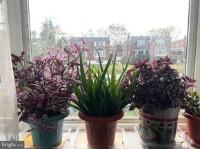 3017 Guilford Street, Philadelphia PA 19152