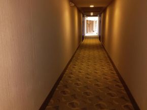 1001 City Avenue E431, Wynnewood PA 19096