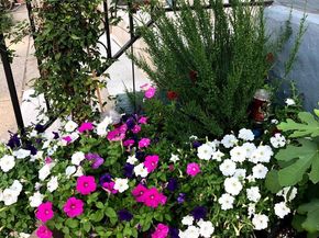 1627-29 W Stiles Street, Philadelphia PA 19121