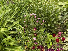 1627-29 W Stiles Street, Philadelphia PA 19121