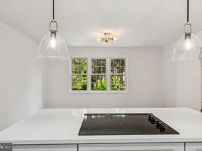 6182 Vine Forest Court, Falls Church VA 22044
