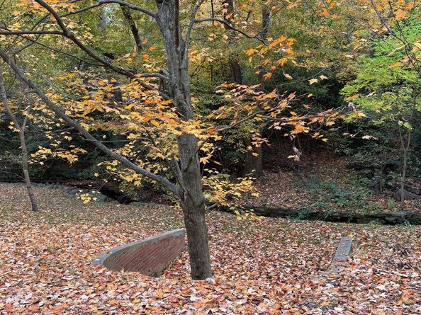 1415 S Edgewood Street 463, Arlington VA 22204