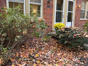 1415 S Edgewood Street 463, Arlington VA 22204