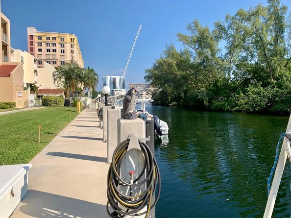 2850 NE 14TH Street 306B, Pompano Beach FL 33062
