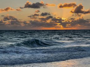 80 Celestial Way 213, Juno Beach FL 33408
