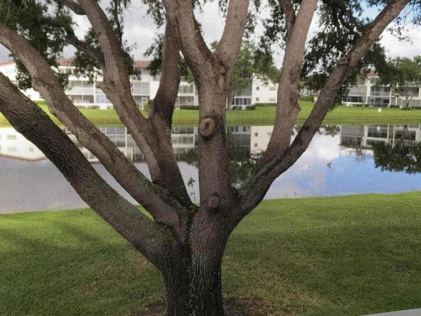 229 Fanshaw F, Boca Raton FL 33434