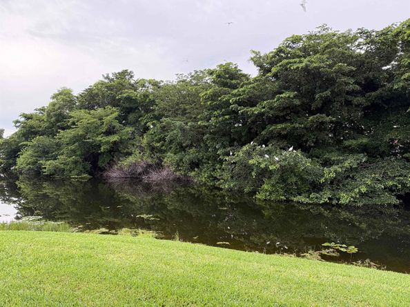 198 Lake Carol Drive, West Palm Beach FL 33411