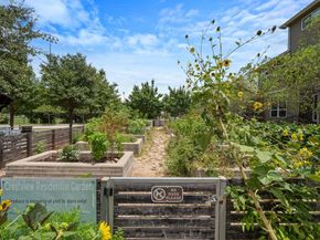 7408 Wildcat PASS, Austin TX 78757