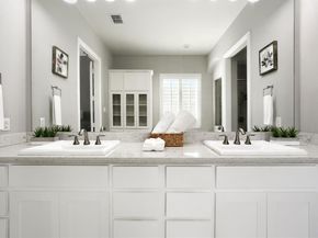 1208  Damsel Caitlyn Drive , Lewisville Texas 75056