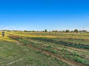 14231  Bacton Road , Pilot Point Texas 76258