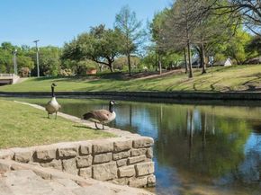 2888  Reedcroft Drive , Farmers Branch Texas 75234