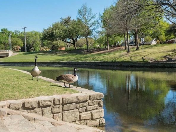 2888  Reedcroft Drive , Farmers Branch Texas 75234