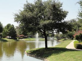3784  Lakeway Court , Addison Texas 75001
