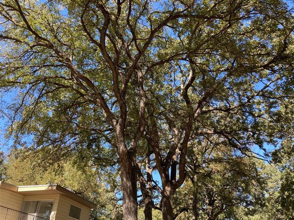 11655  Randle Lane , Fort Worth Texas 76179