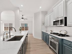 2405  Hammock Lake Drive , Little Elm Texas 75068