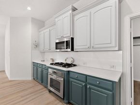 2405  Hammock Lake Drive , Little Elm Texas 75068