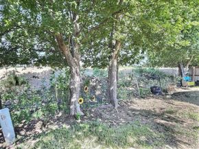 13621  Ponderosa Ranch Road , Fort Worth Texas 76262