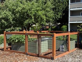 12513 NE 130th Way C204, Kirkland WA 98034