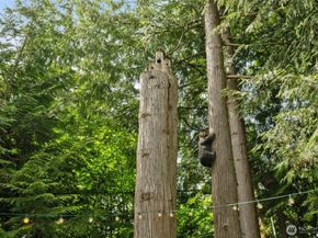 11205 NE 95th Street, Kirkland WA 98033
