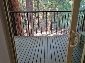 14622 NE 80th 35B, Redmond WA 98052