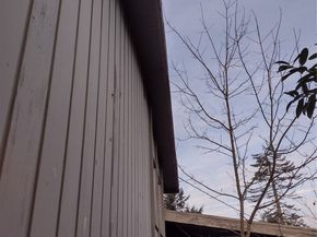 29735 3rd Avenue S, Federal Way WA 98003