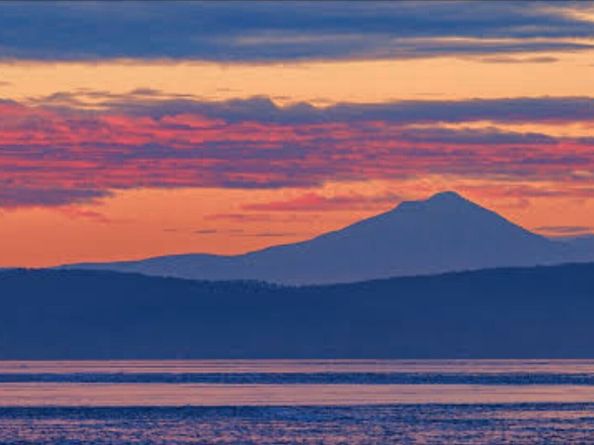 110 174th Place NE, Bellevue WA 98008