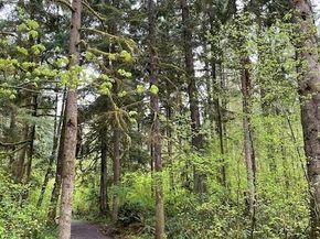 9907 223rd Place NE, Redmond WA 98053
