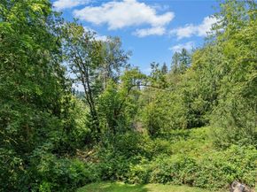 16519 Tiger Mountain Road SE, Issaquah WA 98027