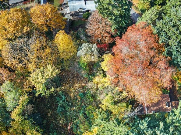 12117 SE 26th Street, Bellevue WA 98005