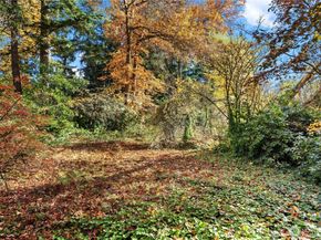 12117 SE 26th Street, Bellevue WA 98005