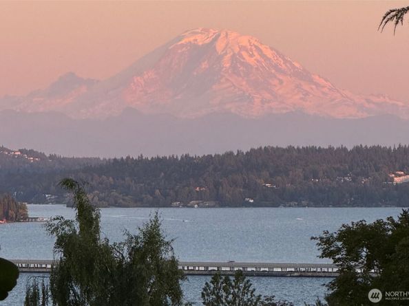4315 52nd Avenue NE, Seattle WA 98105