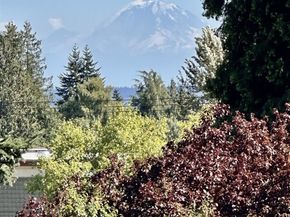 7522 31st Avenue NE, Seattle WA 98115